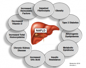 nafld